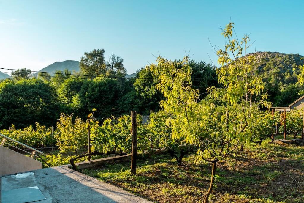Pavle'S Oasis Βίλα Virpazar Εξωτερικό φωτογραφία